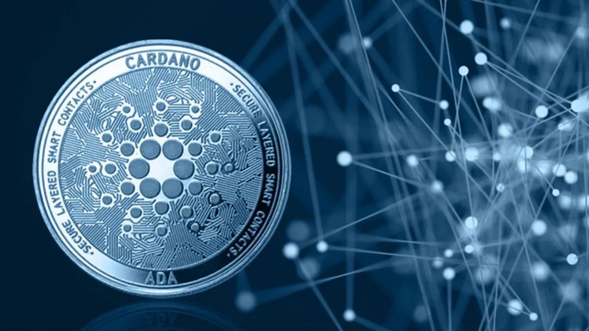 Cardano News